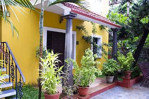 Poppys Olive De Villa