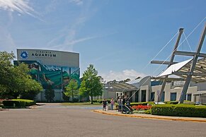 The Colony Virginia Beach by TripForth