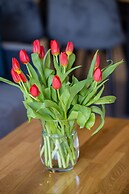 Pet-friendly Spadochroniarzy by Renters