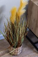 Pet-friendly Spadochroniarzy by Renters