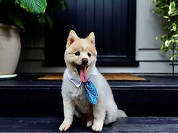 Sweet Creek Cottage, Palm Cove