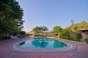 Gold Nest Rubystone Heritage