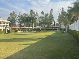 Gold Nest Rubystone Heritage