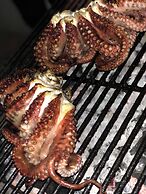 Sunny Palms Beach Bungalows