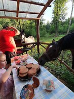 agroturystyka Kurnik Polski