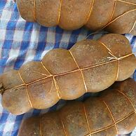 agroturystyka Kurnik Polski