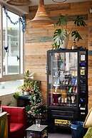 Jungle Jaffa Hostel Age 18 to 45