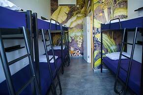 Jungle Jaffa Hostel Age 18 to 45