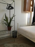 Jungle Jaffa Hostel Age 18 to 45