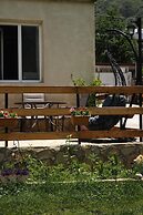 Guest House Elguja Qushashvili