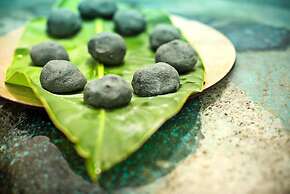 Coffee Pickers Village By Hacienda Orosi