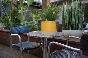 London Plane Backpackers - Hostel