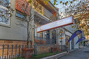 London Plane Backpackers - Hostel