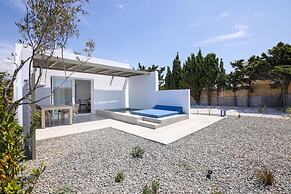 White Holidays Project