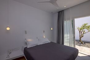 White Holidays Project