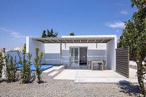 White Holidays Project