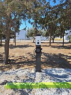 White Holidays Project