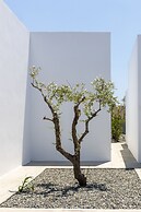 White Holidays Project