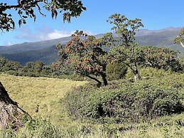 Anabas Mount Kenya Lodge