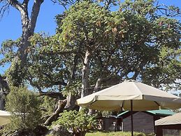 Anabas Mount Kenya Lodge
