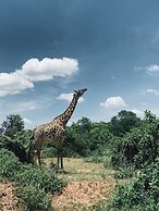 Tembe Home