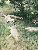Tembe Home