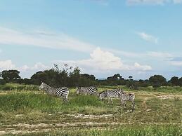 Tembe Home