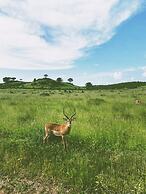 Tembe Home