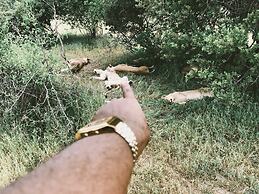 Tembe Home