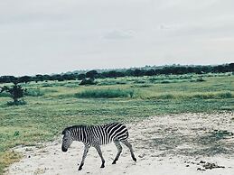 Tembe Home