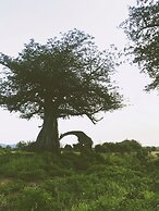 Tembe Home