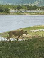 Tembe Home