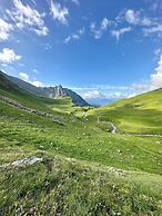 Chalet Violettes