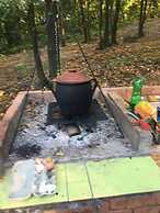 Nevressa 1-bed Cabin