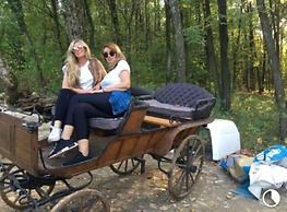 Nevressa 1-bed Cabin