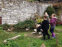 Cosy Stone Cottage on Llanllwni Mountain
