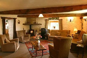 Cosy Stone Cottage on Llanllwni Mountain
