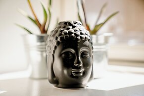 Akaciegaarden Bed & Breakfast