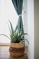 Valentini s Uptown Flat