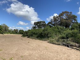 Kruger Untamed - Tshokwane River Camp