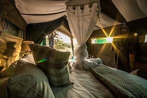 Kruger Untamed - Tshokwane River Camp