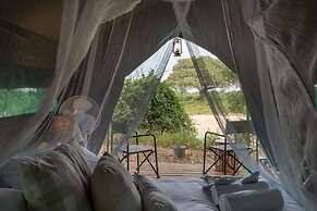 Kruger Untamed - Tshokwane River Camp