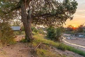 Kruger Untamed - Tshokwane River Camp