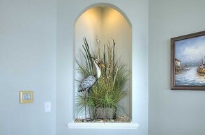 Dolphin Lookout 4 Bedroom Home by RedAwning