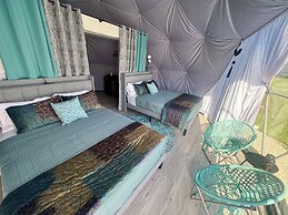 DayDreamer Domes