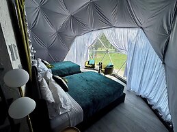 DayDreamer Domes