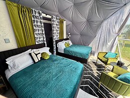 DayDreamer Domes