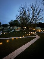 DayDreamer Domes