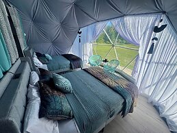 DayDreamer Domes