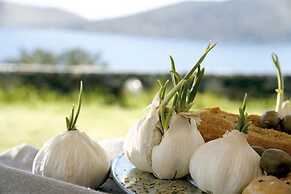 Villa Atlantis - Villa Atlantis